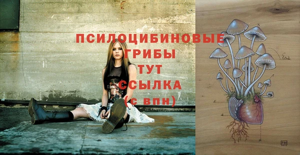 мдпв Абдулино
