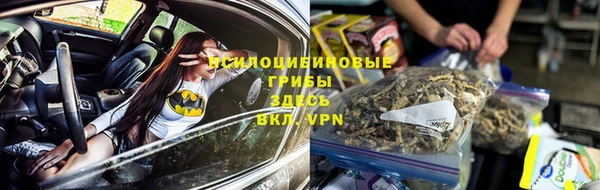 spice Алексеевка