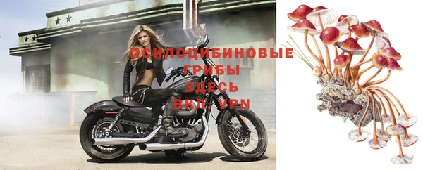 spice Алексеевка